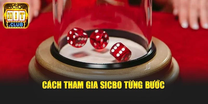 Cách tham gia Sicbo từng bước